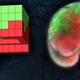 Left: A xenobot blueprint produced by the evolutionary algorithm, in which green shows skin cells and red shows heart muscle cells. Right: the “living” xenobot inspired by the computer’s design.